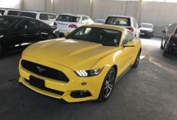 山西野马最新爆料,揭秘神秘项目背后的故事