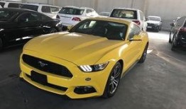 山西野马最新爆料,揭秘神秘项目背后的故事