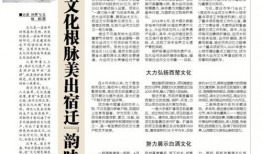 江苏省报纸新闻爆料,真相揭秘，影响深远