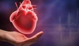 化学心脏在线观看,在线观看之旅