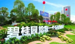 海口碧桂园爆料案件最新,揭秘背后真相与争议