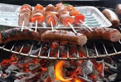 西安烧烤店爆料视频大全,街头美食背后的故事与真相