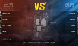 和平经营爆料视频大全,视频大全深度解析