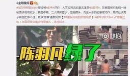 和谐集团爆料事件视频播放,揭秘事件背后真相