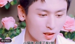 多莉被大哥爆料视频大全,揭秘背后惊人真相