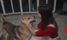 娱乐狗子爆料都是真的吗,真相还是谣言？