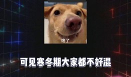 吃瓜娱乐BGM
