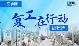 福建新闻热点爆料网,聚焦本土最新动态，揭秘民生焦点事件