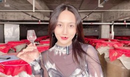 呆妹酒后爆料视频大全,揭秘视频大全背后的故事与真相