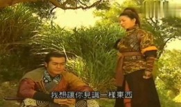 寻秦记 在线观看粤语,穿越时空的奇幻冒险之旅