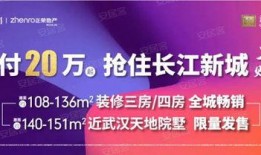 武汉房东最新爆料新闻,揭秘楼市新动态与租赁市场真相