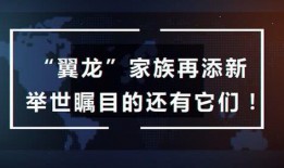 咕噜噜的爆料视频,揭秘视频背后的惊人真相