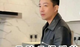 张兰爆料重婚事件视频,揭秘豪门背后的婚姻谜团