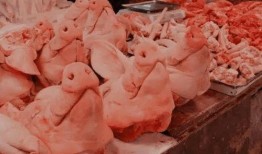 猪头娱乐圈吃瓜,揭秘明星们的“吃瓜”生活