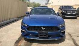 山西野马最新爆料,揭秘神秘项目背后的故事