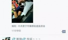 潮汕身边事爆料视频,揭秘潮汕地区最新爆料视频背后的故事