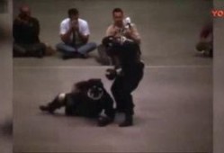 截拳宗师爆料视频大全,爆料视频大全深度解析