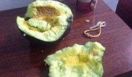 网红前十名吃瓜主播有哪些