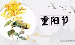 吉祥吃瓜小说后续免费阅读,宫廷秘闻，免费续集大揭秘