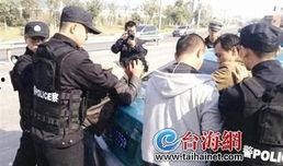 偷南瓜最新爆料新闻事件,真相揭秘，嫌疑人落网