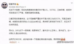 圈内人爆料小智,圈内人揭秘其不为人知的成长历程