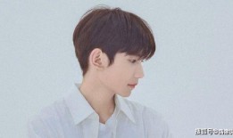 王源狗仔爆料视频大全集,揭秘明星私生活瞬间