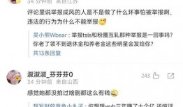 娱乐大瓜爆料偷税,大瓜揭露明星税务乱象