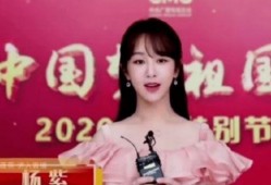 杨紫最新爆料贴图片大全,揭秘幕后故事，精彩瞬间大盘点