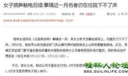论坛新闻爆料,最新热点事件深度解析