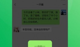 小程序最新独门爆料下载,功能升级与市场动态深度解析