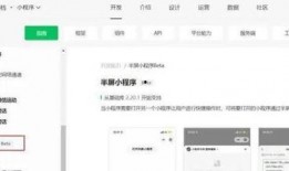 小程序最新独门爆料下载,功能升级与市场动态深度解析