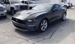 山西野马最新爆料,揭秘神秘项目背后的故事