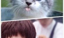 猫萌的最新爆料,最新爆料带你走进神秘猫界