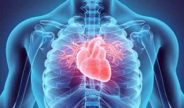 化学心脏在线观看,在线观看之旅