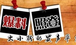 瓶子爆料新闻,揭秘爆料新闻背后的真相与内幕