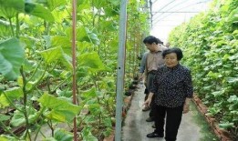 瑞安吃瓜最新事件爆料是真的吗,最新爆料真相揭秘