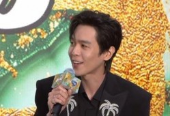 最新爆料男星是谁啊视频,最新爆料男星身份大揭秘！