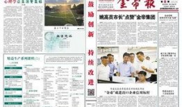 金帝股份最新爆料新闻,揭秘公司重大转型与市场动向