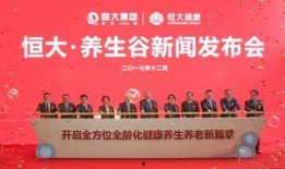 最新恒大爆料新闻报道,揭秘债务危机背后的真相