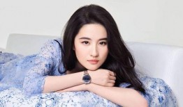 圈内八卦爆料刘亦菲,娱乐圈的神秘女神，揭秘她的不为人知故事