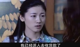 二嫂二嫂全集在线观看,温情家庭剧，演绎人间真情