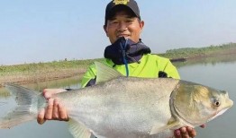 邓刚爆料钓鱼圈视频大全