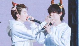 王导爆料皇权富贵视频,皇权富贵背后的真实故事