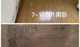 爆料即墨老红木视频,传承与创新的历史见证