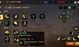 圣骑士技能爆料攻略视频,视频爆料深度解析