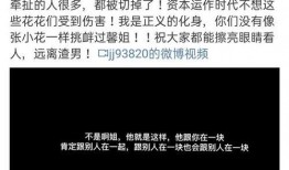 湖南前妻爆料视频播放,揭秘婚姻背后的真相