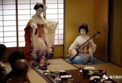 日本艺伎爆料视频大全集,独家爆料视频大全集深度解析