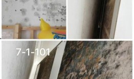 爆料即墨老红木视频,传承与创新的历史见证